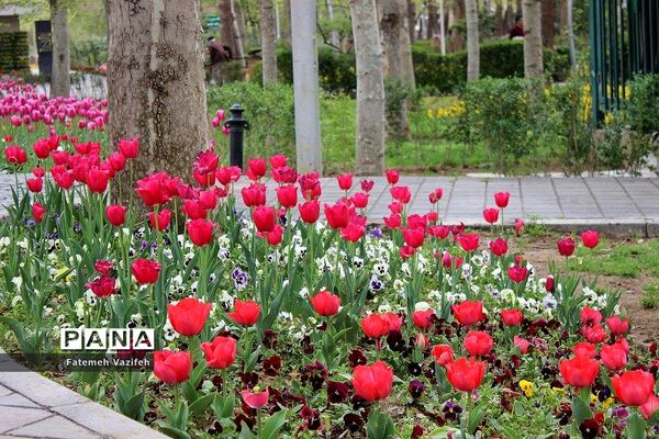 پارک لاله تهران در بهار طبیعت