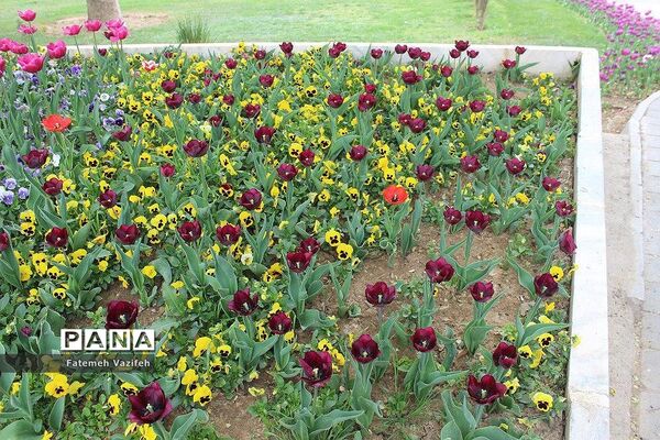 پارک لاله تهران در بهار طبیعت