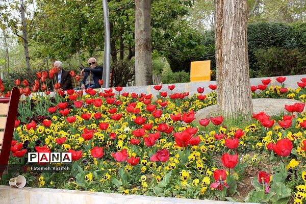 پارک لاله تهران در بهار طبیعت