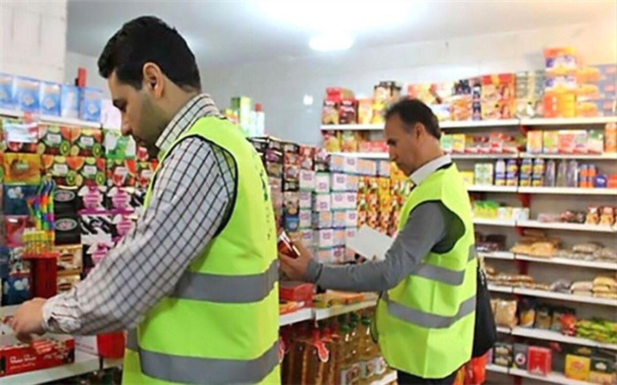 31 تیم بهداشتی در ایام نوروز بر اماکن عمومی شهرستان ری نظارت می کنند