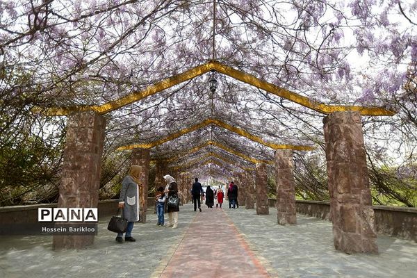 پل طبیعت تهران در نوروز