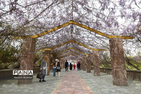 پل طبیعت تهران در نوروز