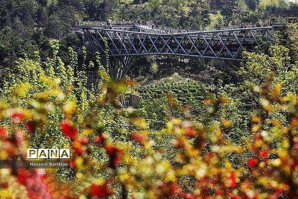 پل طبیعت تهران در نوروز