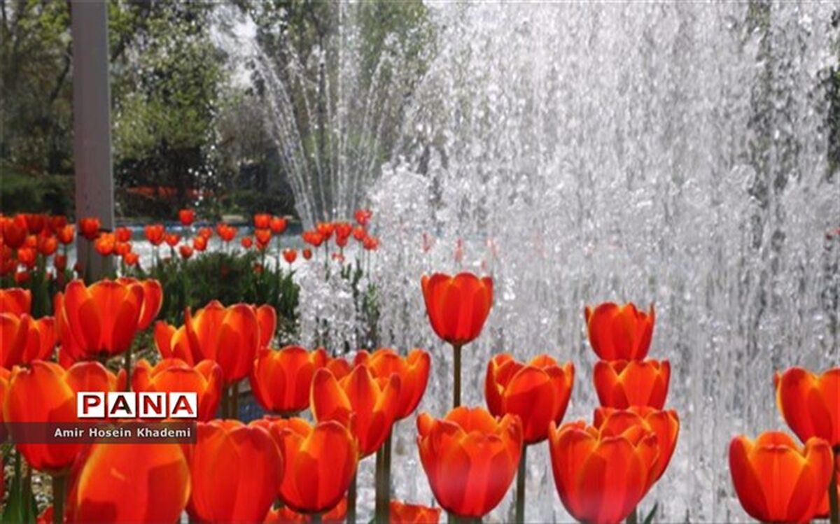 استقبال مردم از جشنواره لاله های کرج
