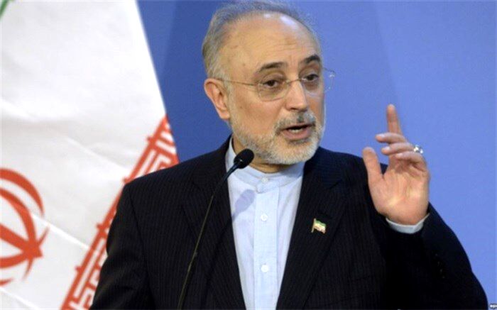 صالحی: مسئولان بلند پایه نظام اراده کنند، ضرب شصت ویژه ای برای برهم زنندگان برجام خواهیم داشت