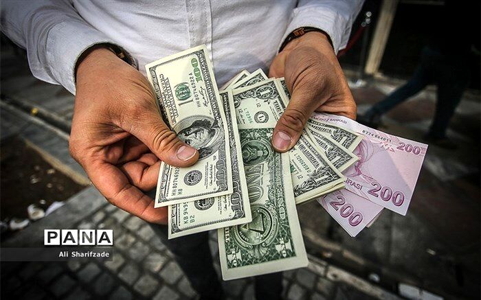 چرا دولت نرخ دلار را ۴۲۰۰ تومان اعلام کرد