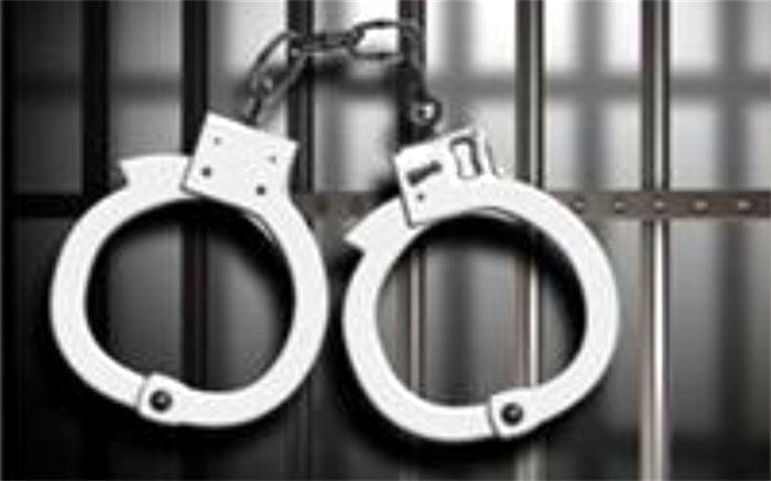 دستگیری دختر پسرنما در حین سرقت