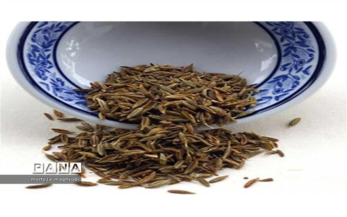 خواب سنگین متولیان امر