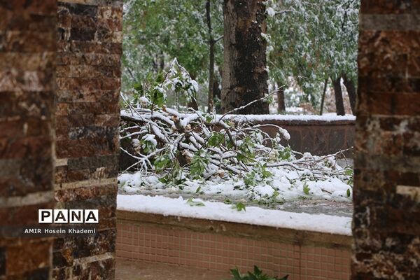 برف ریزان بهاری با بارش برف زمستانی در کرج