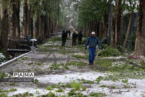برف ریزان بهاری با بارش برف زمستانی در کرج