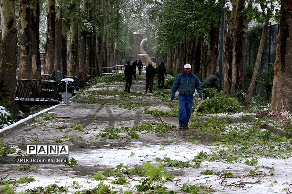 برف ریزان بهاری با بارش برف زمستانی در کرج