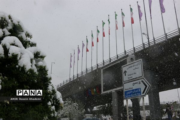 برف ریزان بهاری با بارش برف زمستانی در کرج