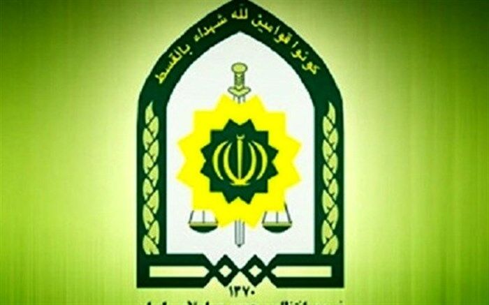 واکنش ناجا به ضرب و شتم یک دختر توسط پلیس در پارک