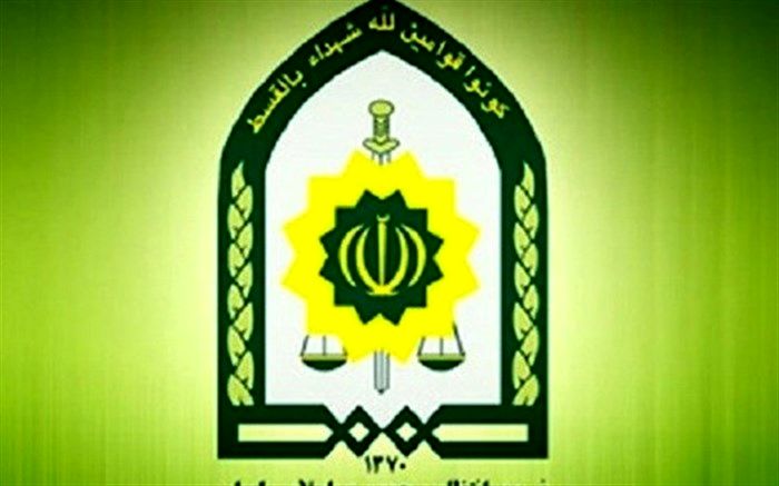 واکنش ناجا به ضرب و شتم یک دختر توسط پلیس در پارک