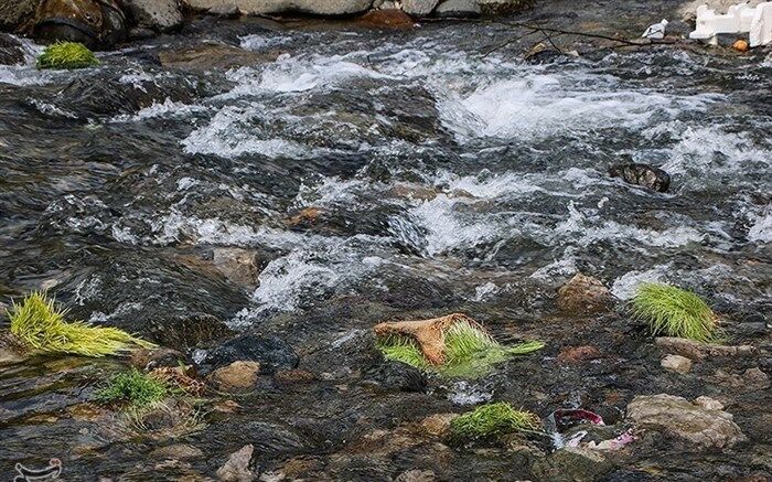 پاکداشت طبیعت در منطقه ولیان شهرستان ساوجبلاغ
