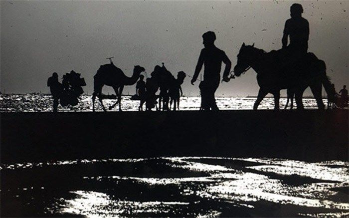 6 کارگردان سینمای ایران فیلم «قصه های هرمز» را می‌سازند