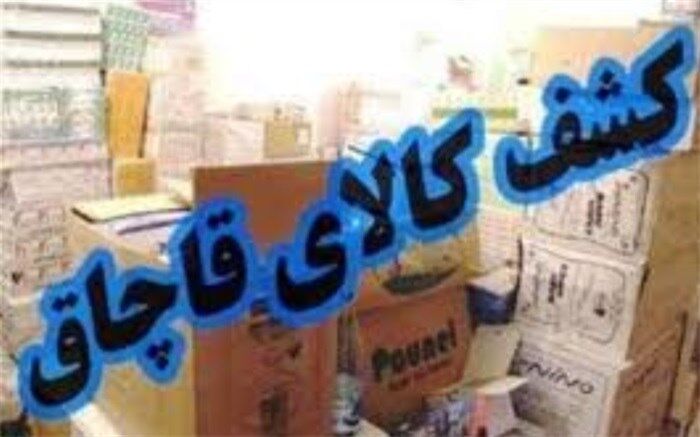 کشف کالای قاچاق میلیاردی در فارس؛ از گردو تا کولر گازی قاچاق