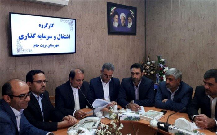 تربت جام رتبه نخست جذب اعتبارات مشاغل خانگی در خراسان رضوی
