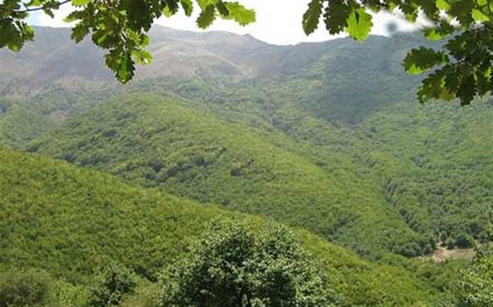 صدور موافقت اولیه تبدیل ۲۶ واحد اقامتی روستایی به اقامتگاه بوم گردی در شهرستان کلیبر