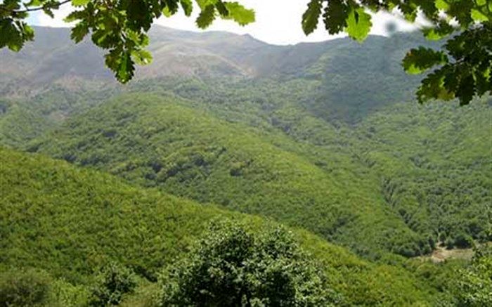 صدور موافقت اولیه تبدیل ۲۶ واحد اقامتی روستایی به اقامتگاه بوم گردی در شهرستان کلیبر