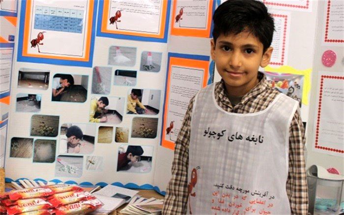 نابغه ی کوچک اسلامشهری: تفکر در زندگی مورچه موضوع تحقیق من در جشنواره جابربن حیان بود