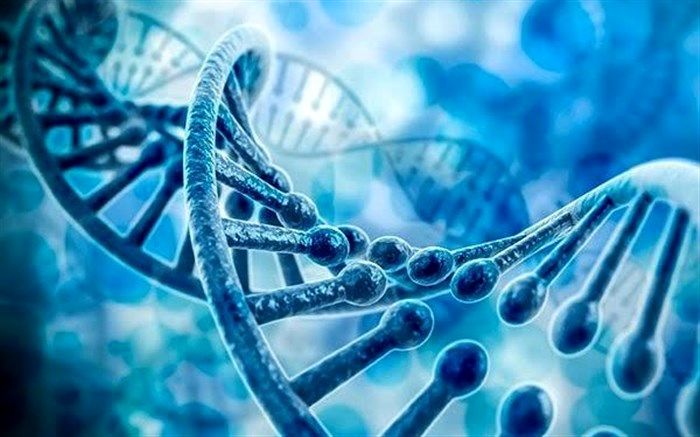 سومین کنگره بین‌المللی ملی انجمن ژنتیک ایران برگزار می‌شود