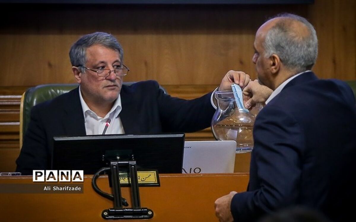 رئیس شورای شهر خبر داد: ارسال پرونده شهرداری  افشانی به وزارت کشور