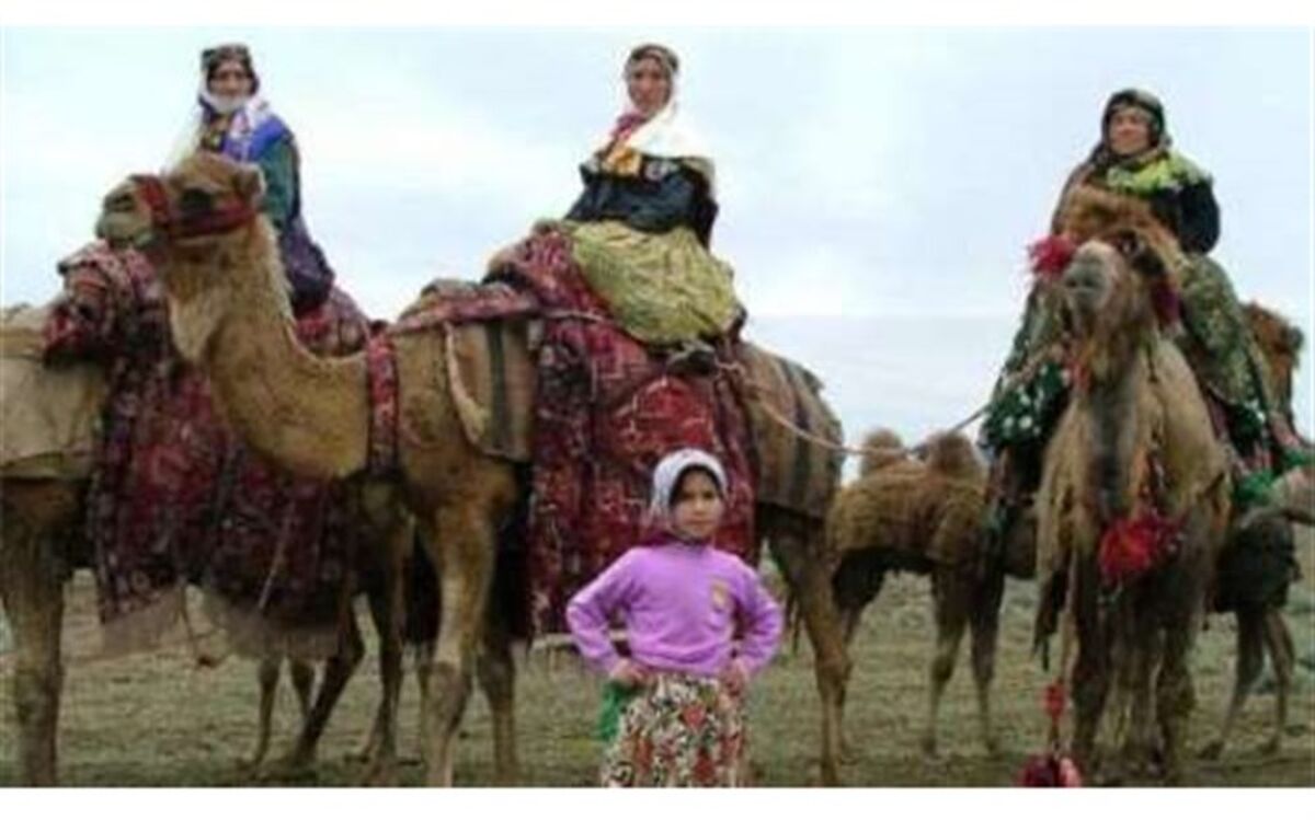 معاون امور هماهنگی عمرانی استاندار اردبیل: کوچ عشایر مغان ثبت جهانی می شود