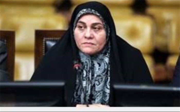 سعیدی، نماینده مجلس: جامعه‌ای که به دنبال توسعه پایدار و حفظ محیط زیست است باید به ارزشهای والای معلم  نیزتوجه کند