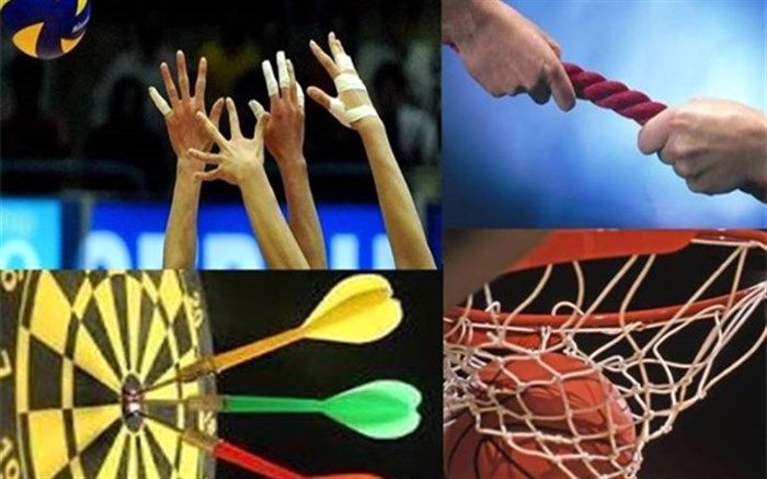 شیراز میزبان مسابقات علمی تخصصی دبیران ورزشی فارس