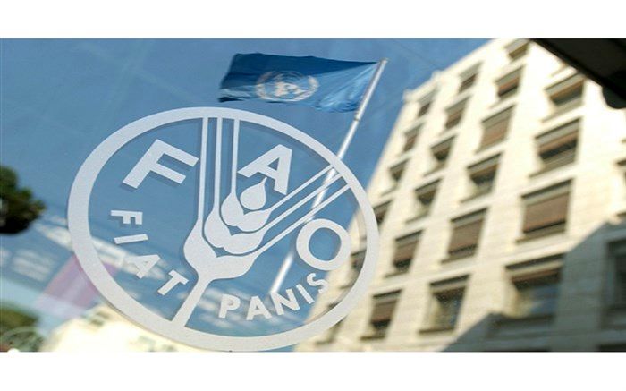 فائو خواستار افزایش کمک‌ها به آوارگان روهینگیا شد