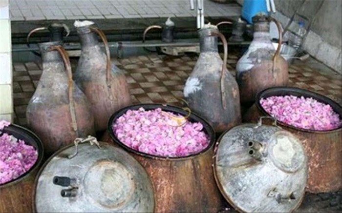 اشتغال 220 هزار نفر در صنعت گلابکیری کاشان