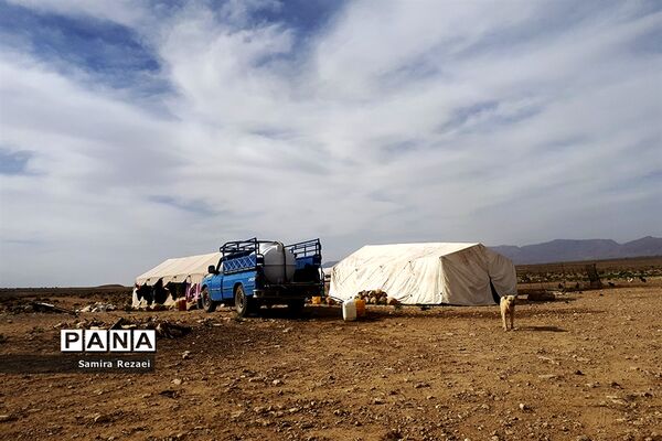 چشمه سرو نخودی رویای زندگی