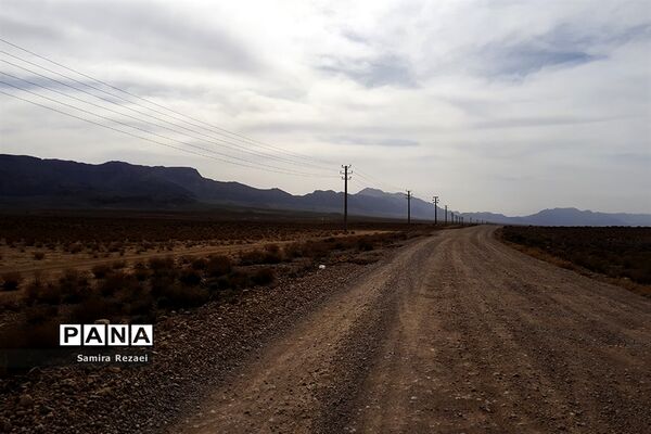 چشمه سرو نخودی رویای زندگی