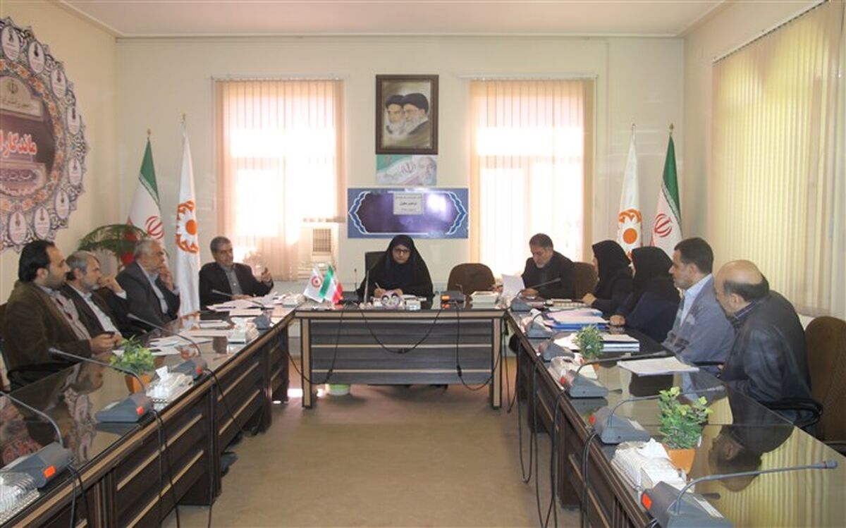 کمیته راهبری تامین مسکن خانوارهای دو عضو معلول استان مرکزی تشکیل شد