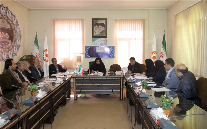 کمیته راهبری تامین مسکن خانوارهای دو عضو معلول استان مرکزی تشکیل شد