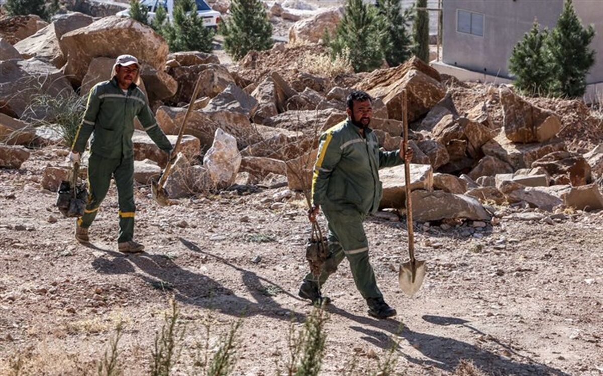 رئیس سازمان سیما، منظر و فضای سبز شهری شهرداری شیراز: سرانه فضای سبز شیراز بالاتر از میانگین کشور و برای هرنفر 23 مترمربع است