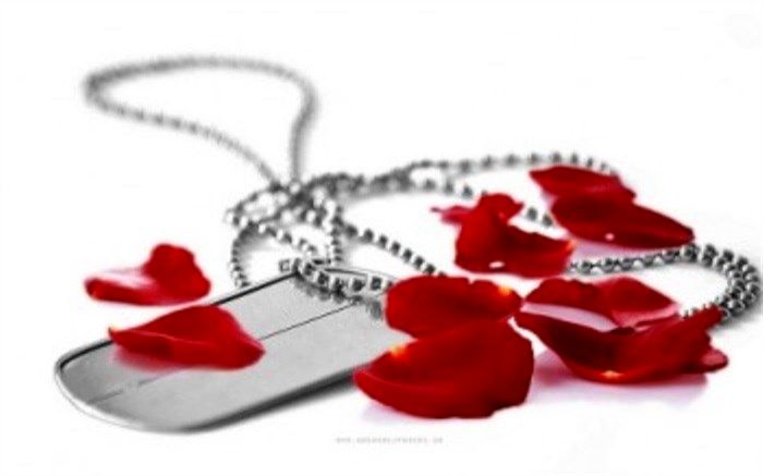 زندگی نامه شهید فرهاد بدیعی