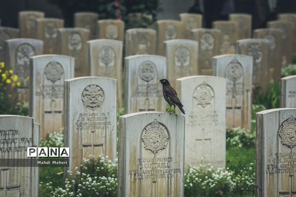گورستان متفقین در تهران