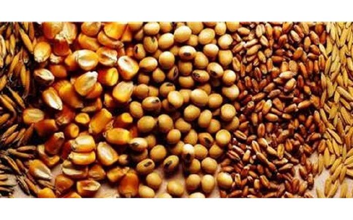 واردات اقلام مورد نیاز امور دام، با دلار ۳۸۰۰ تومانی