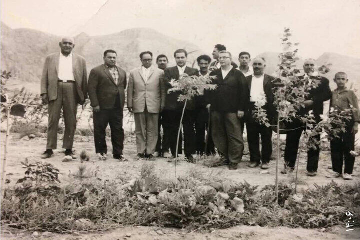 ماجرای همدلی یک شهر در مستند «جنگل قائم»