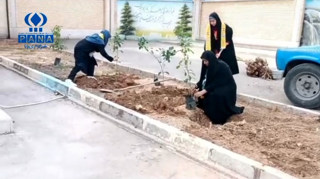 هدیه دانش‌آموزان به طبیعت/ فیلم