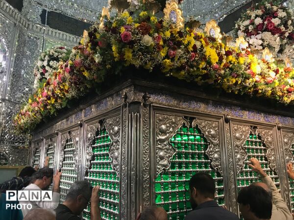 عطر میلاد در بارگاه سیدالکریم (ع)