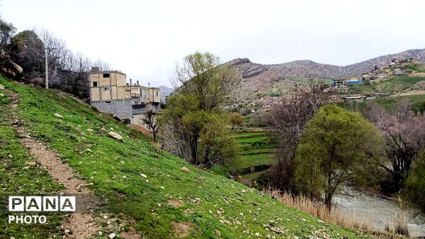 میانکوه شاهد فصل رویش گیاهان