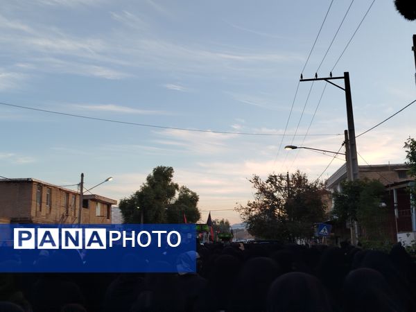 لاله‌های سرخ فاطمی به پلدختر رسیدند 