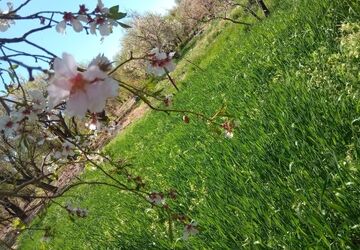 روز طبیعت در قاب پانا