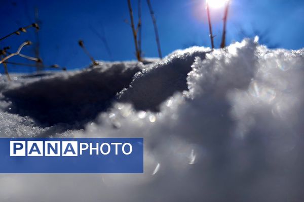 رد پای برف در باغات نهضت آباد اصفهان