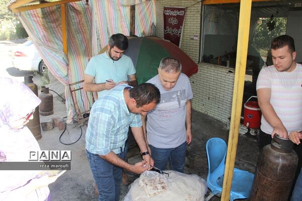 دومین جشنواره ملی انگور سیاه سردشت