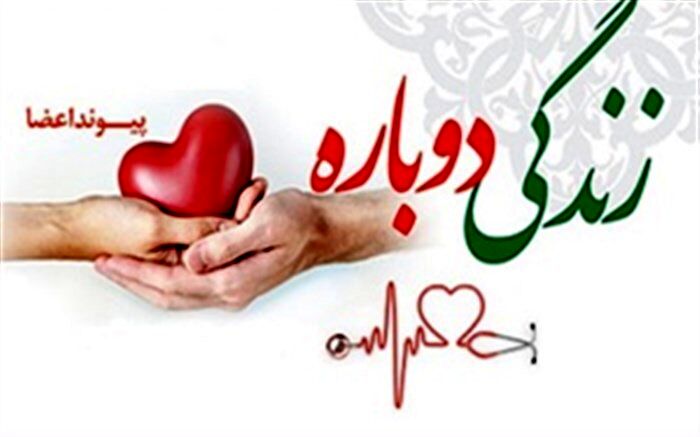 پدر ۳۴ساله سمنانی به بیماران نیازمند، جان دوباره بخشید