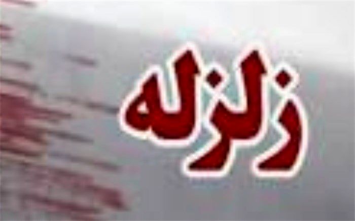 زلزله 4/1 ریشتری تایباد خسارت جانی نداشت